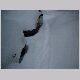 DSCF0003.AVI