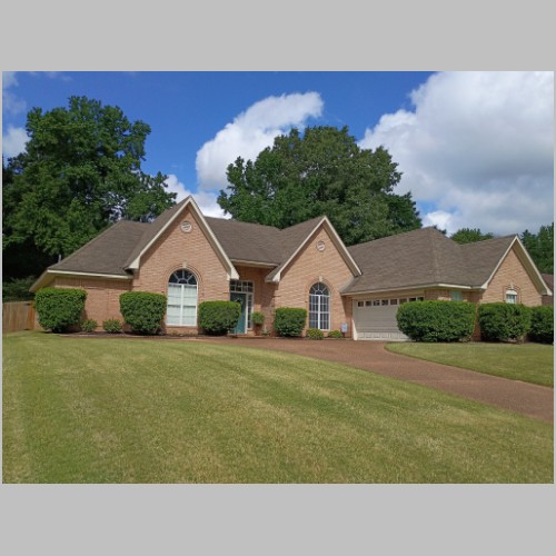 #ALT_TXT#